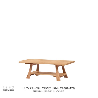 0167 リビングテーブル JKM-LT4009-120